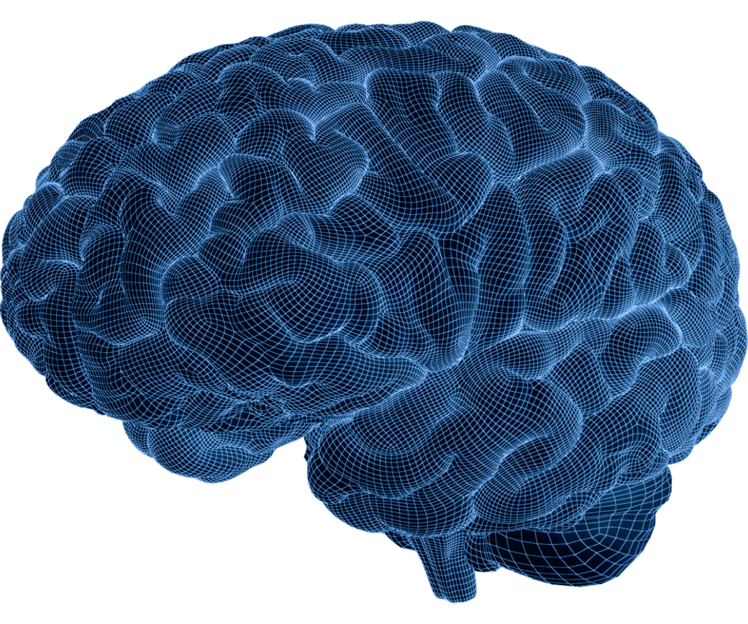 Brain Wireframe